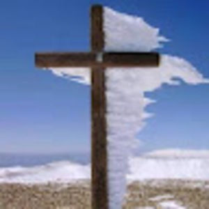 Meet your Posher, Bo kali